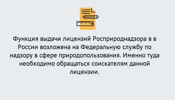 Почему нужно обратиться к нам? Старая Русса Лицензия Росприроднадзора. Под ключ! в Старая Русса