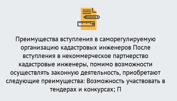 Почему нужно обратиться к нам? Старая Русса Что дает допуск СРО кадастровых инженеров?