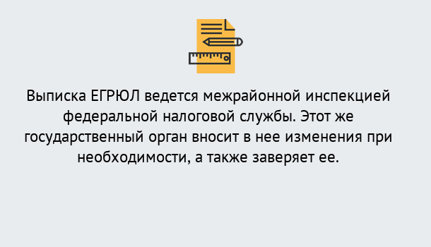 Почему нужно обратиться к нам? Старая Русса Выписка ЕГРЮЛ в Старая Русса ?