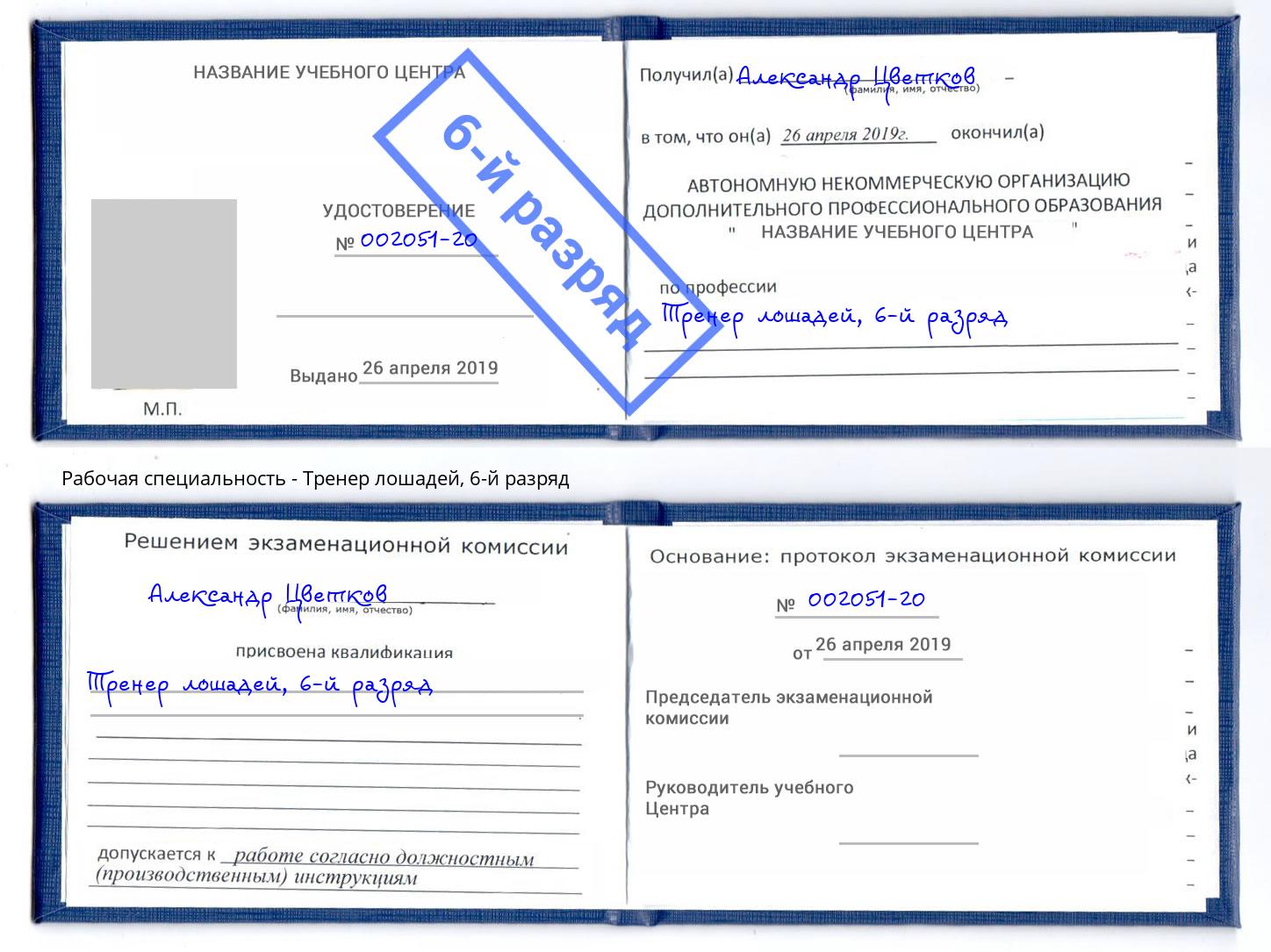 корочка 6-й разряд Тренер лошадей Старая Русса