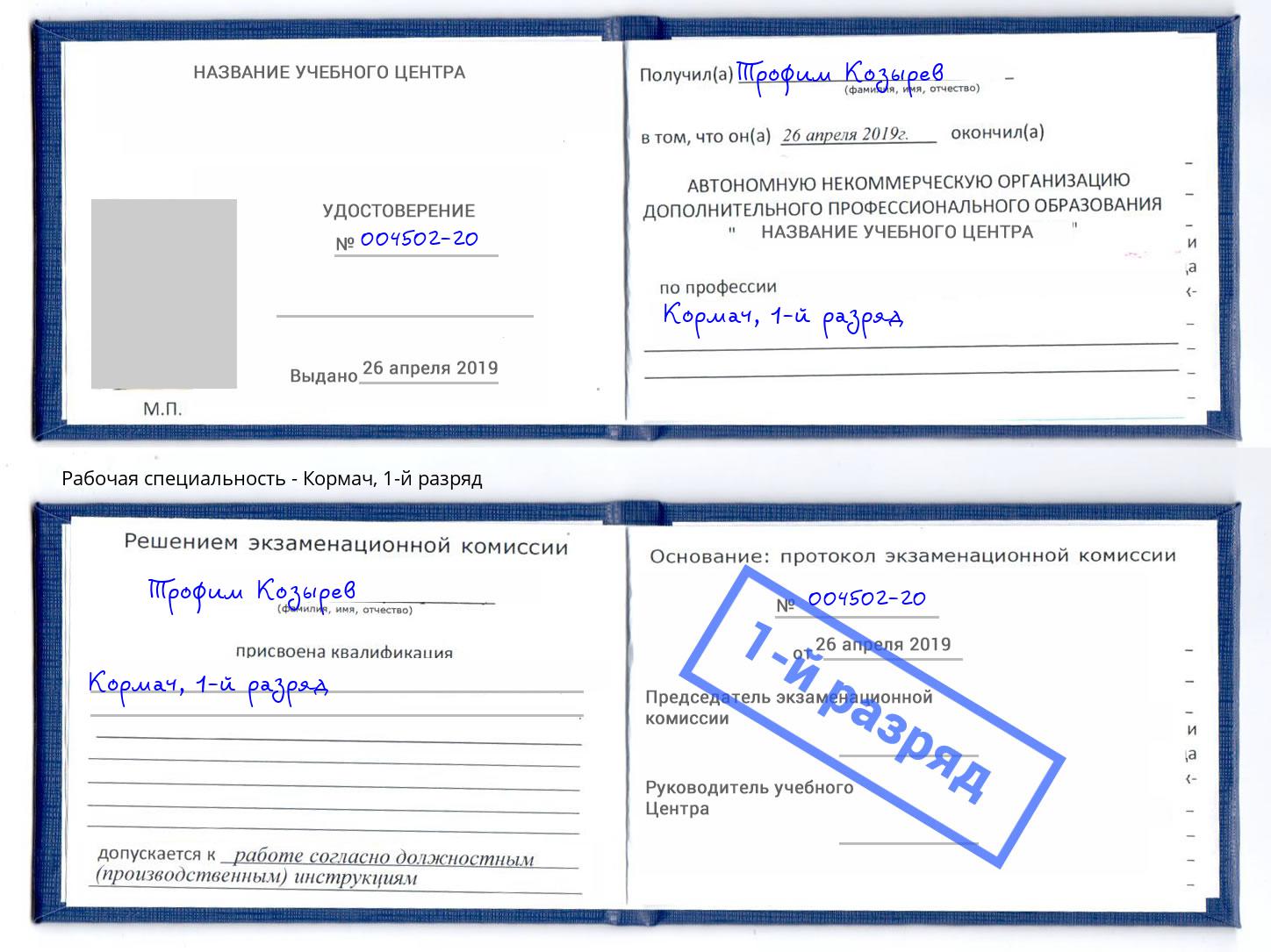 корочка 1-й разряд Кормач Старая Русса