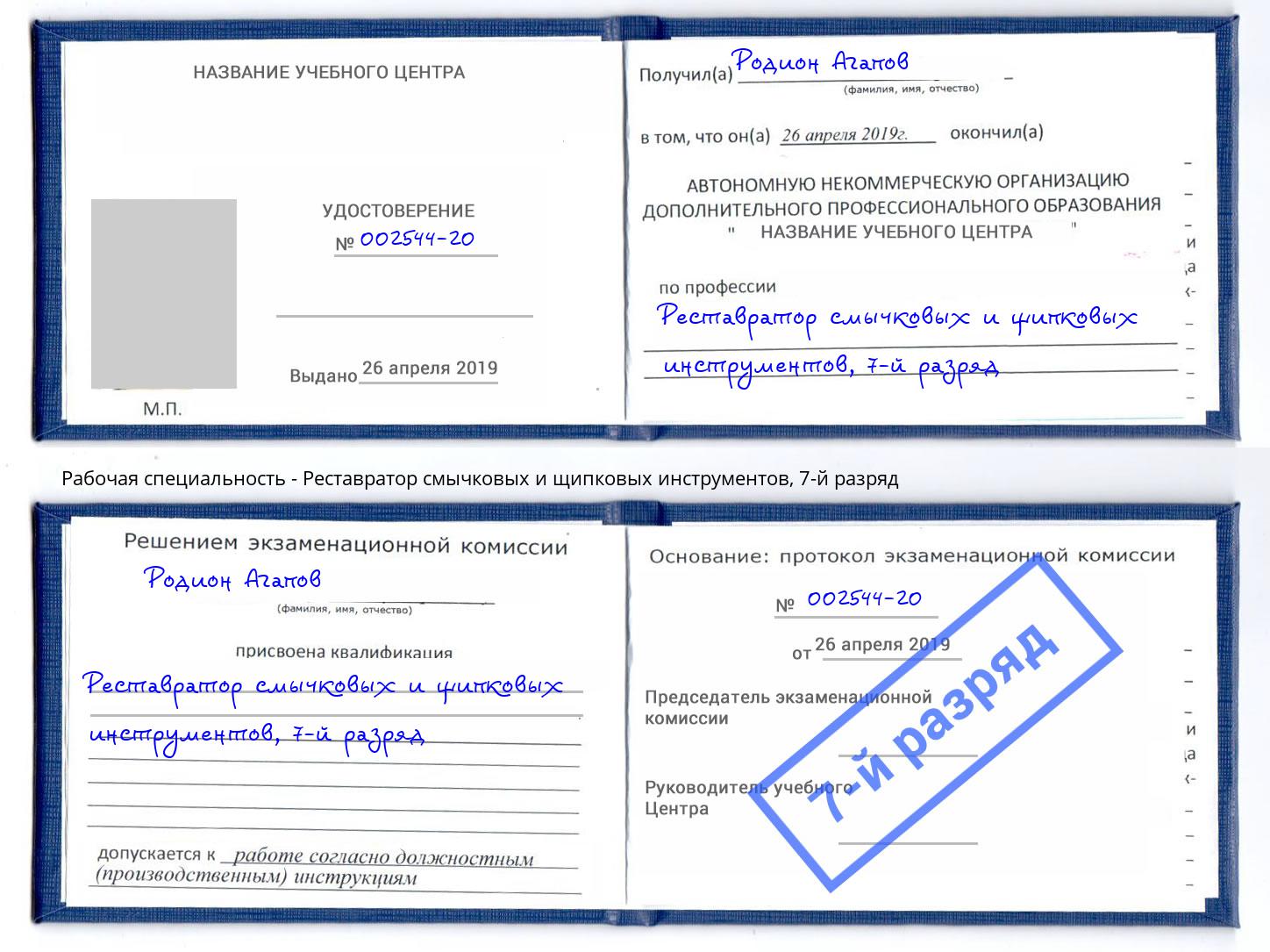 корочка 7-й разряд Реставратор смычковых и щипковых инструментов Старая Русса