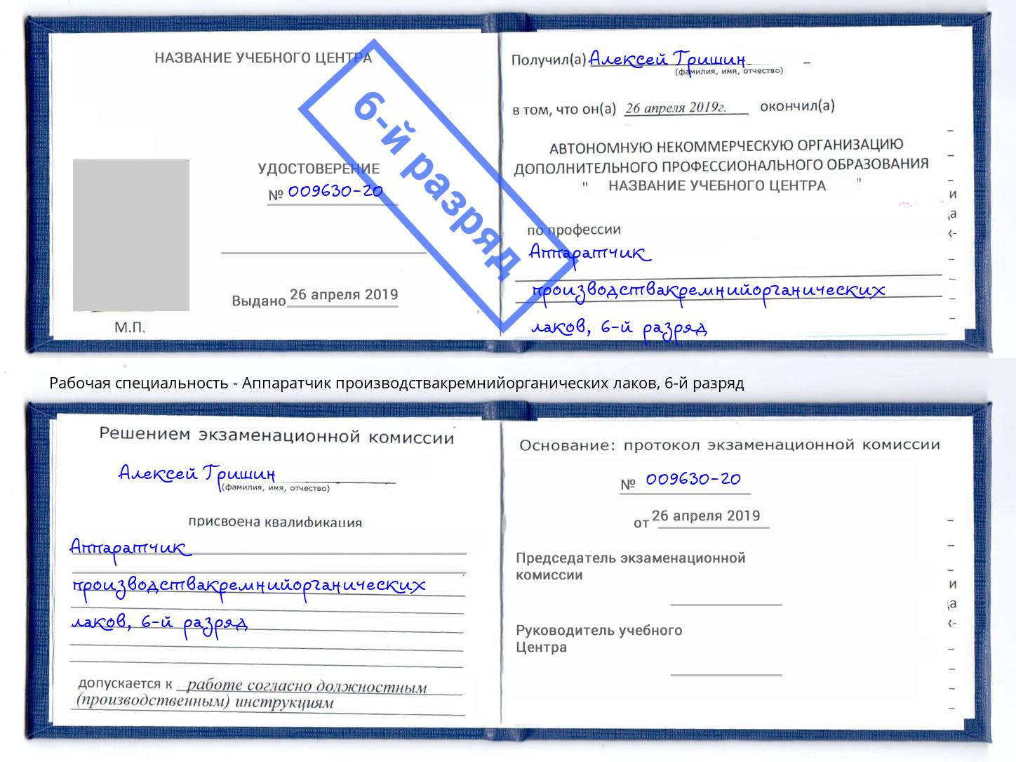 корочка 6-й разряд Аппаратчик производствакремнийорганических лаков Старая Русса